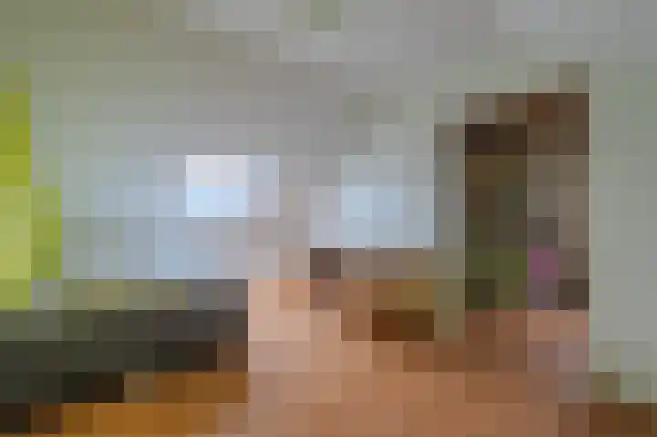 De Pelslap 26 Horst thumbnail 40