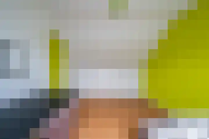 De Pelslap 26 Horst thumbnail 41