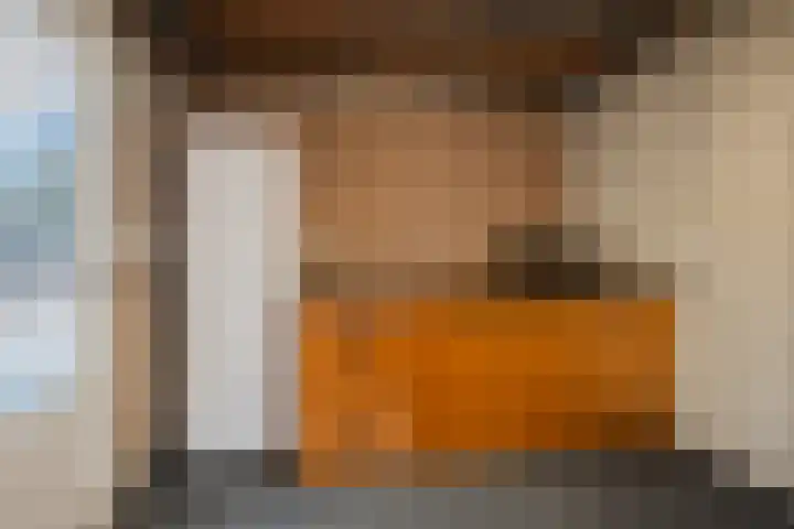 De Pelslap 26 Horst thumbnail 45