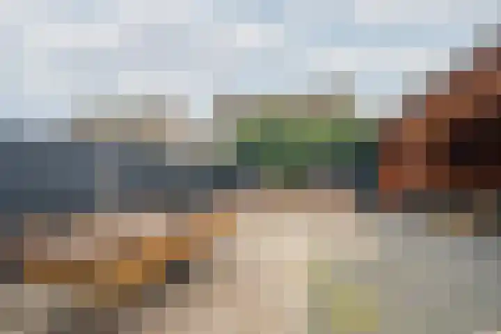 De Pelslap 26 Horst thumbnail 47