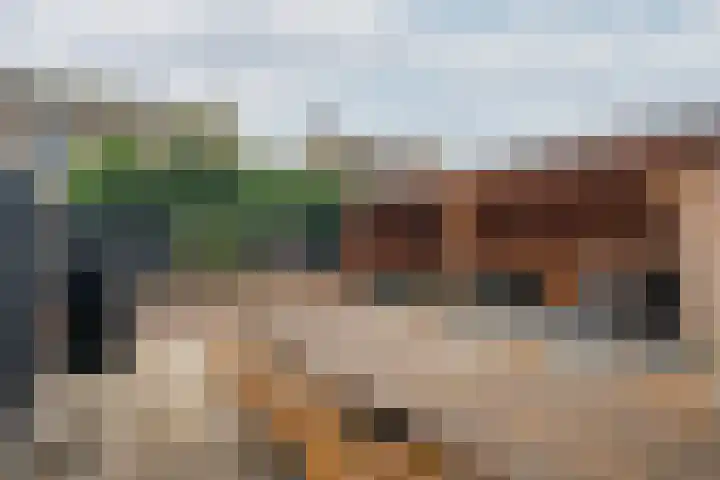 De Pelslap 26 Horst thumbnail 48