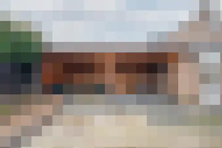 De Pelslap 26 Horst thumbnail 49