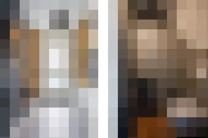 De Pelslap 26 Horst thumbnail 5