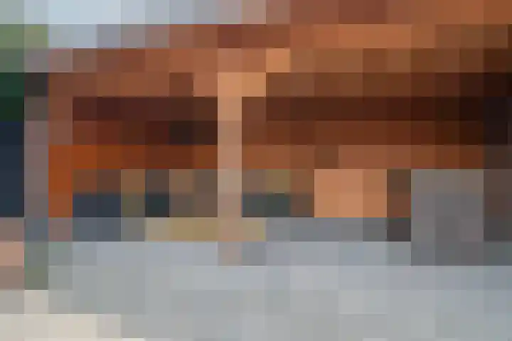 De Pelslap 26 Horst thumbnail 50