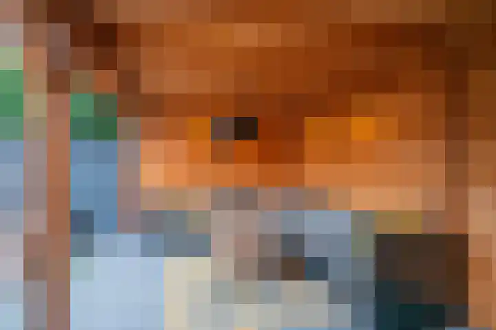 De Pelslap 26 Horst thumbnail 51