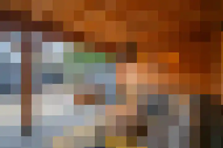De Pelslap 26 Horst thumbnail 52