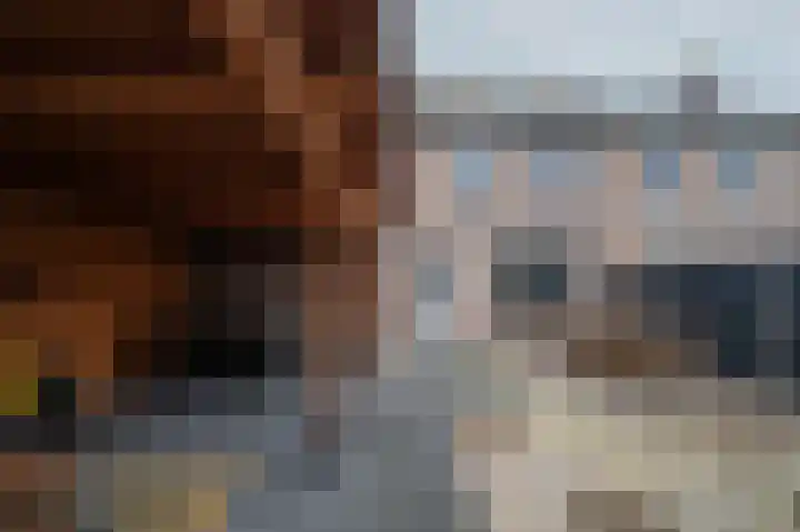 De Pelslap 26 Horst thumbnail 53