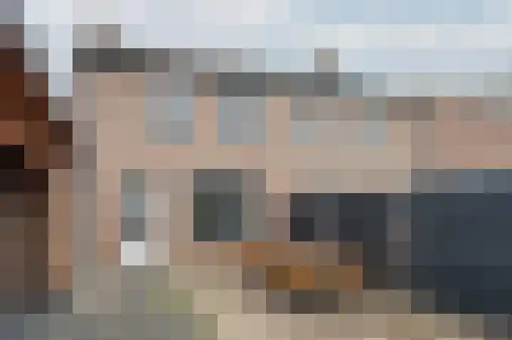 De Pelslap 26 Horst thumbnail 54