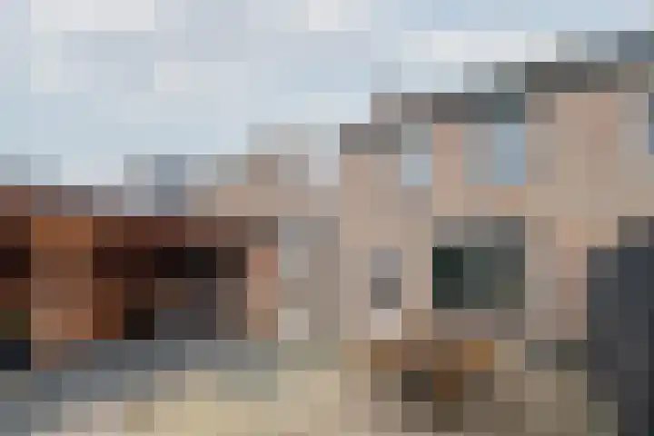 De Pelslap 26 Horst thumbnail 56