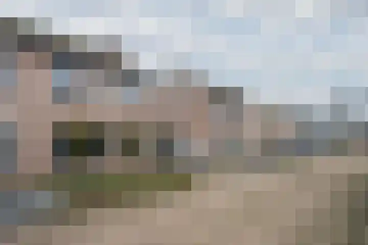 De Pelslap 26 Horst thumbnail 57