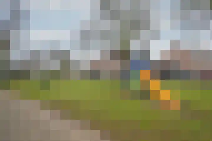 De Pelslap 26 Horst thumbnail 59