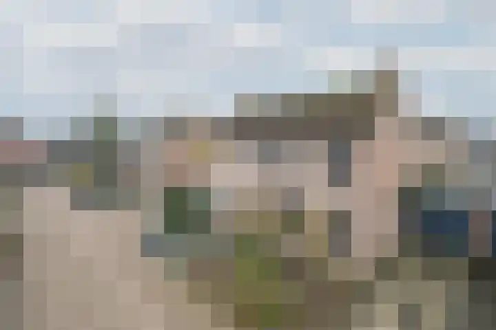 De Pelslap 26 Horst thumbnail 61