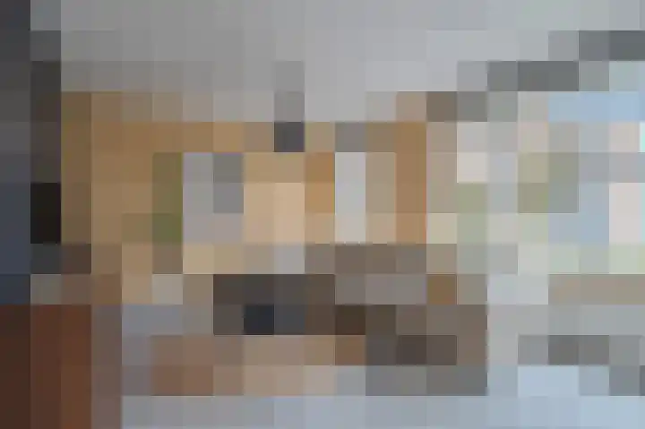 De Pelslap 26 Horst thumbnail 8