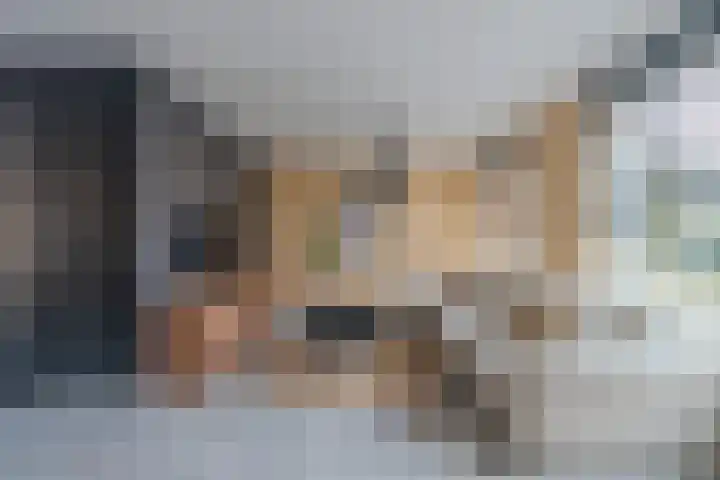 De Pelslap 26 Horst thumbnail 9