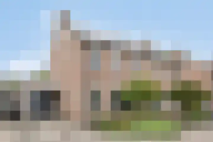 De Pelslap 27 in Horst