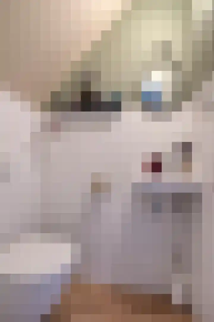 De Pelslap 27 Horst thumbnail 11
