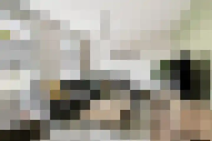 De Pelslap 27 Horst thumbnail 12