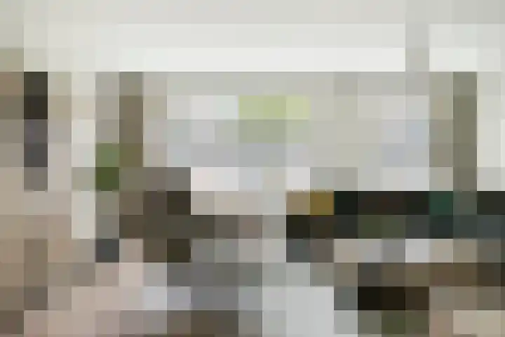 De Pelslap 27 Horst thumbnail 13