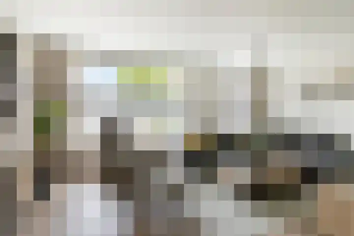 De Pelslap 27 Horst thumbnail 14