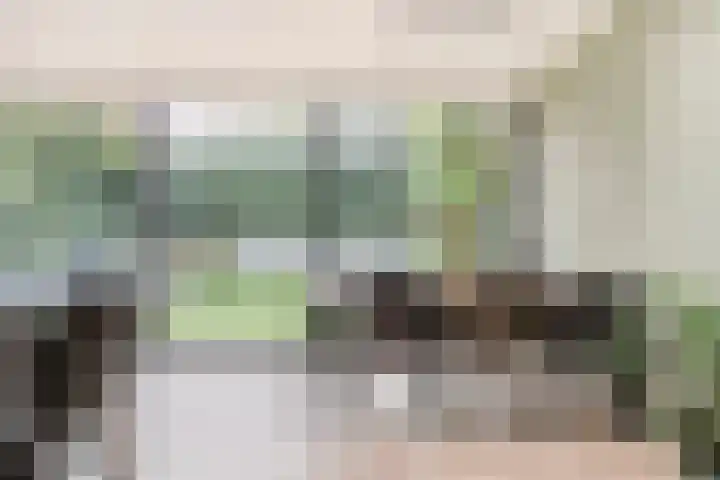 De Pelslap 27 Horst thumbnail 17