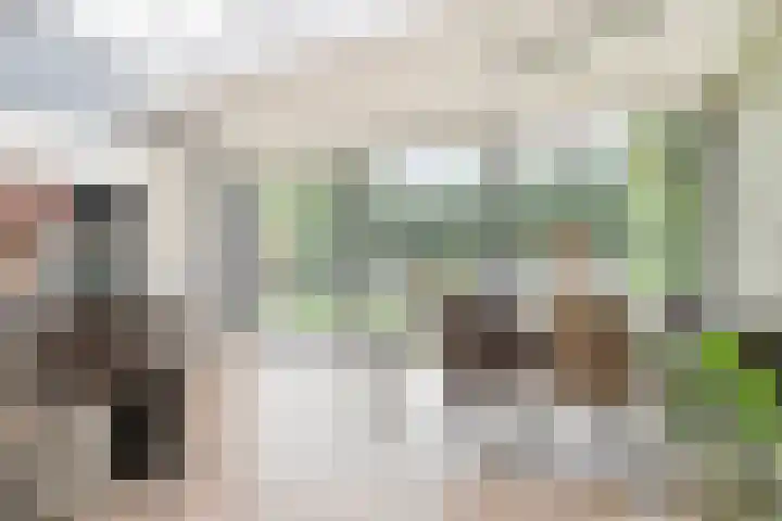 De Pelslap 27 Horst thumbnail 18