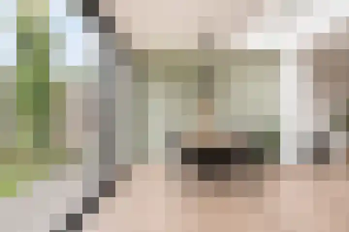 De Pelslap 27 Horst thumbnail 19