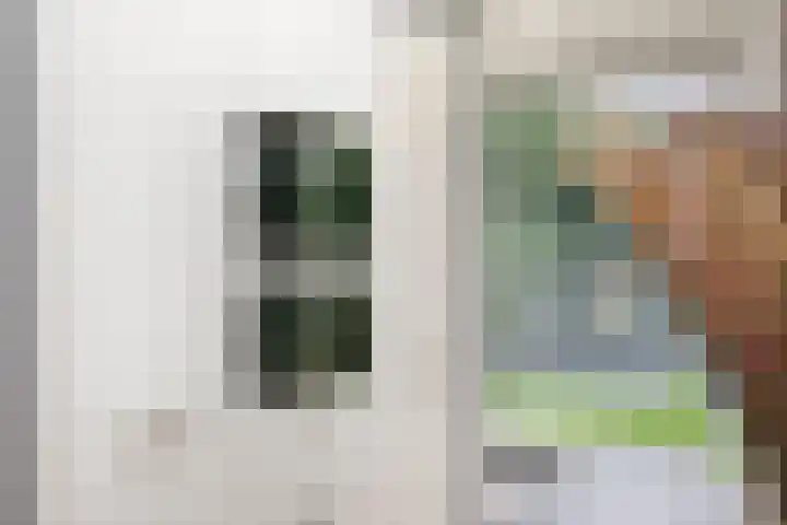 De Pelslap 27 Horst thumbnail 22