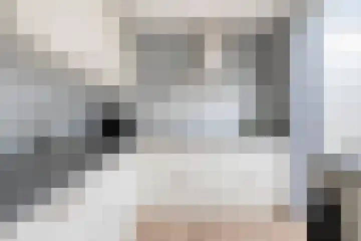 De Pelslap 27 Horst thumbnail 23