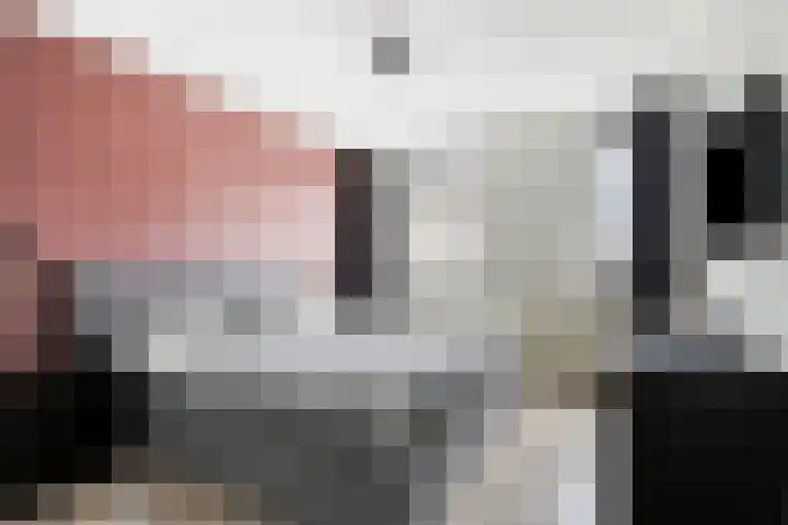 De Pelslap 27 Horst thumbnail 27