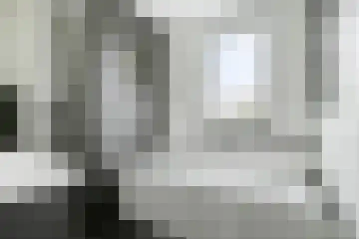 De Pelslap 27 Horst thumbnail 31