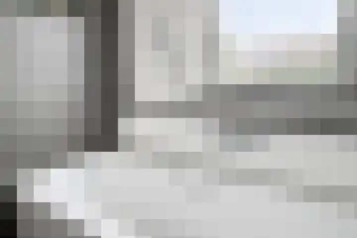 De Pelslap 27 Horst thumbnail 33