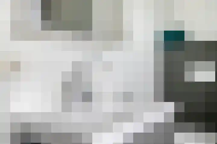 De Pelslap 27 Horst thumbnail 34