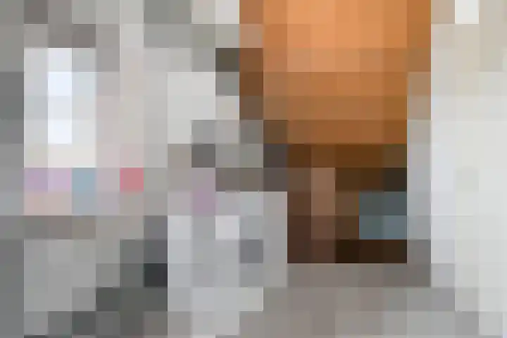De Pelslap 27 Horst thumbnail 37