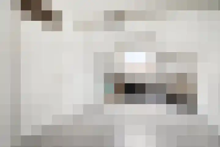 De Pelslap 27 Horst thumbnail 38