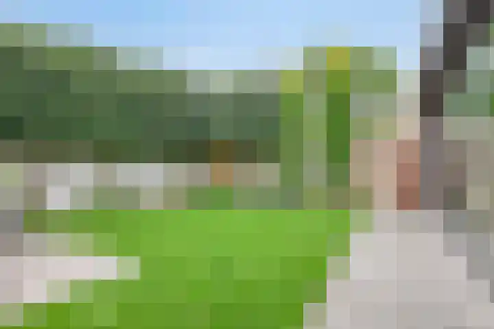 De Pelslap 27 Horst thumbnail 4