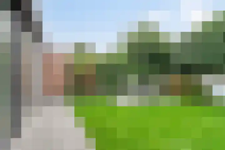 De Pelslap 27 Horst thumbnail 40