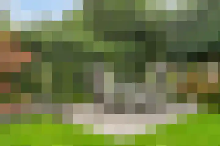 De Pelslap 27 Horst thumbnail 41