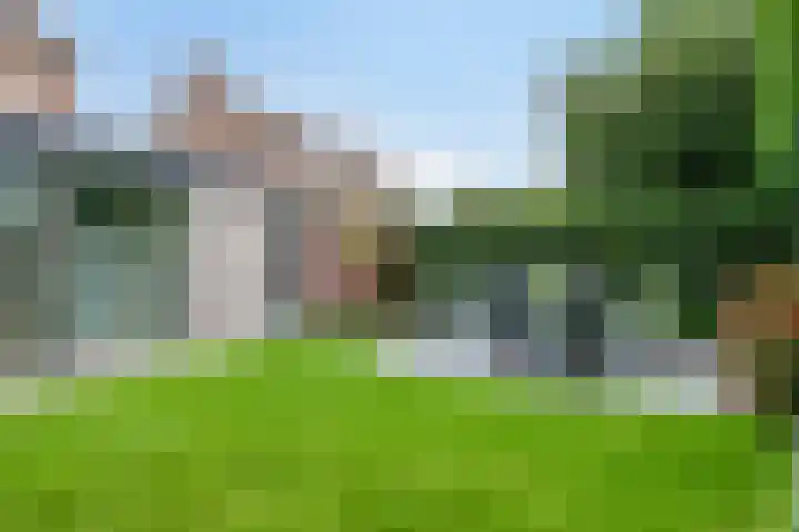 De Pelslap 27 Horst thumbnail 44