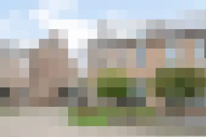 De Pelslap 27 Horst thumbnail 7