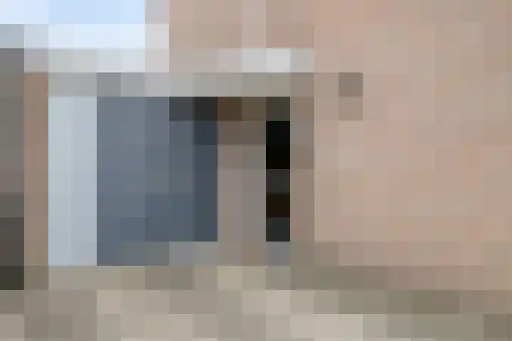 De Pelslap 27 Horst thumbnail 9
