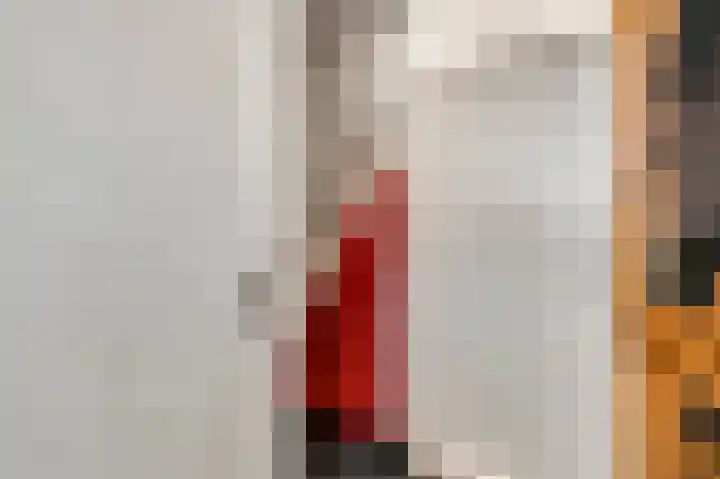 De Pelslap 30 Horst thumbnail 12