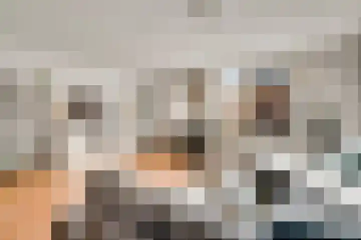 De Pelslap 30 Horst thumbnail 17