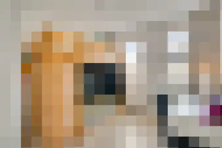 De Pelslap 30 Horst thumbnail 24
