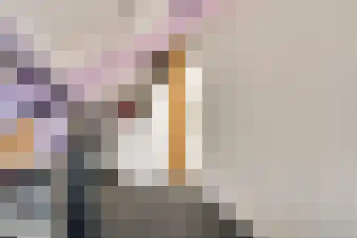 De Pelslap 30 Horst thumbnail 27