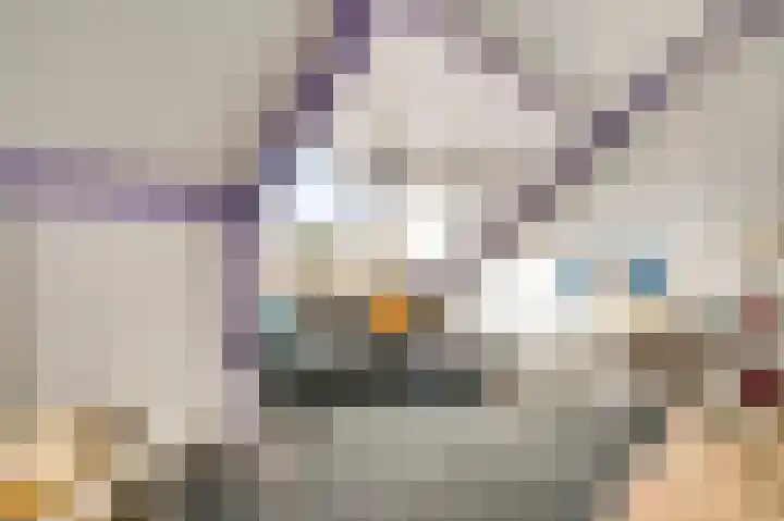 De Pelslap 30 Horst thumbnail 28
