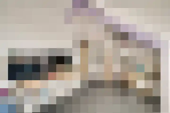 De Pelslap 30 Horst thumbnail 29