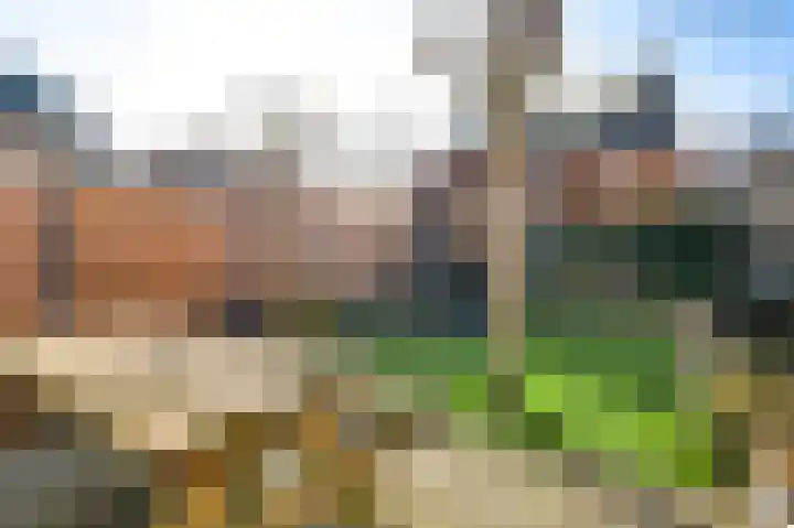 De Pelslap 30 Horst thumbnail 32