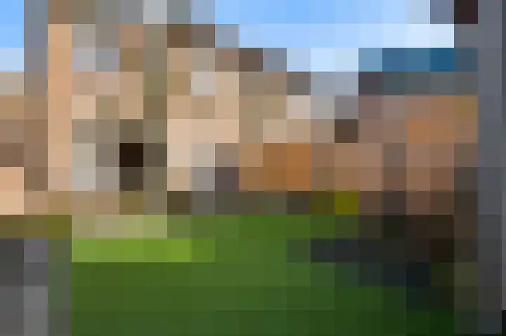 De Pelslap 30 Horst thumbnail 33