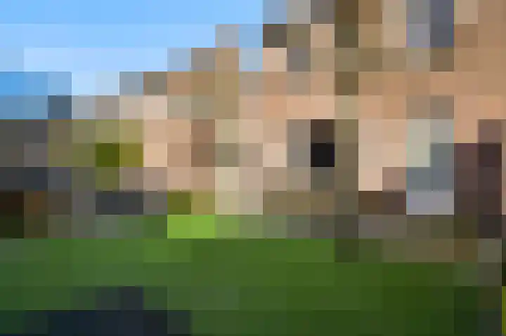 De Pelslap 30 Horst thumbnail 34