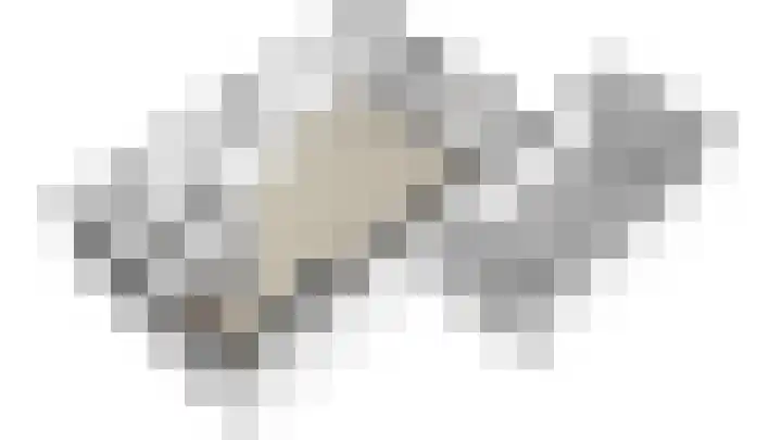 De Pelslap 30 Horst thumbnail 35
